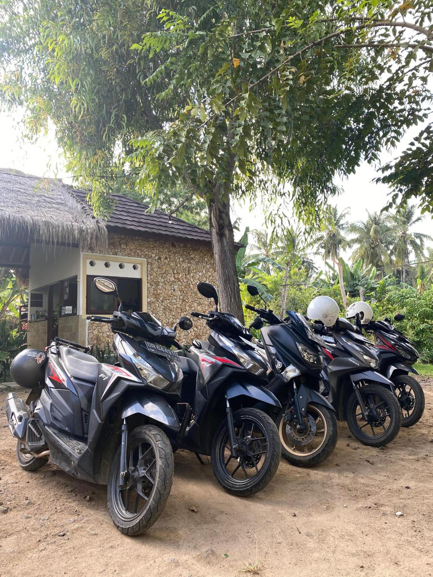 Cewin'S Homestay Kuta  Exterior foto